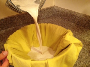 Straining with a t-shirt makes sure no sediment gets into the milk.